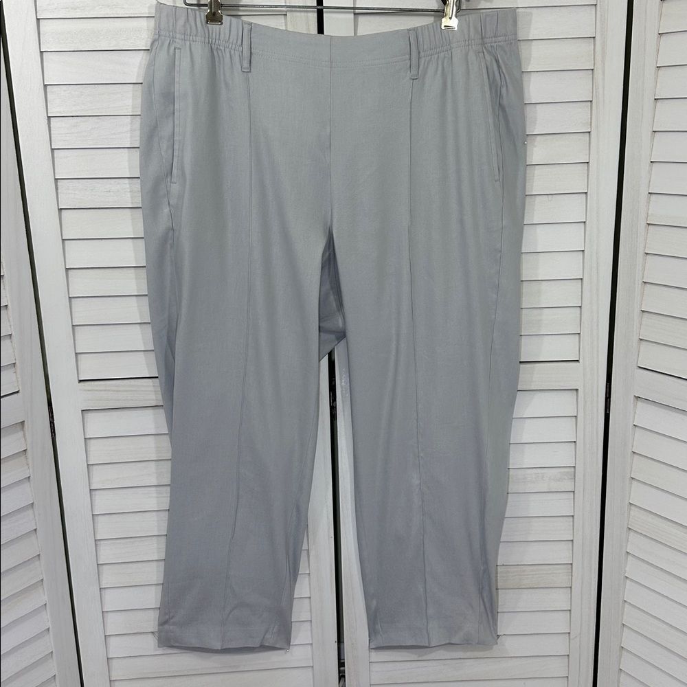 J. Jill Pintucked Linen-Stretch Slim-Leg Pants Size 2X NWOT - Picture 5 of 15
